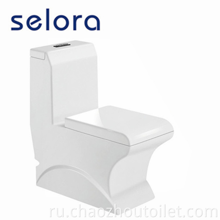 8210 One Piece Toilet